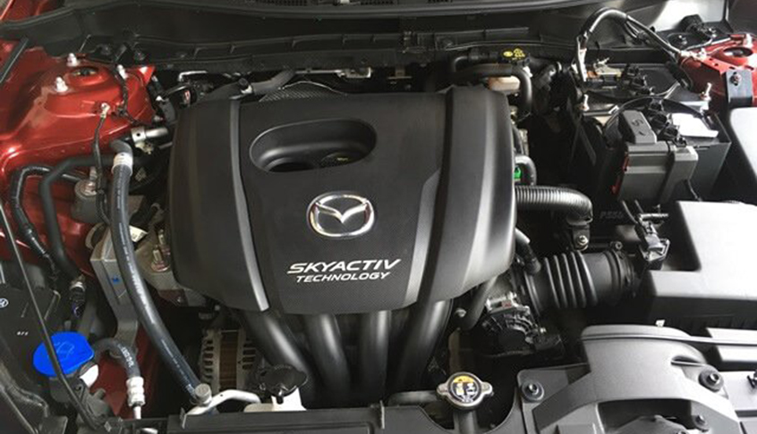 Xe tự lái mazda 2